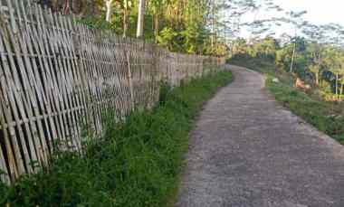 Jual Murah Tanah Perkebunan di Campaka Cianjur