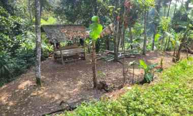 Jual NJOP 200.000/ M,tanah Kebun Duren 3567 M 700 jt