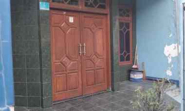 Jual Pakis Tirtosari X