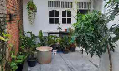Jual Rumah Cipinang Jakarta Timur Hitung Tanah Nego