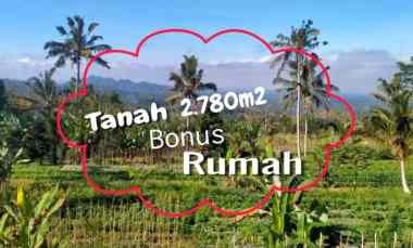 jual tanah 2780m2 bonus rumah di baturiti bedugul