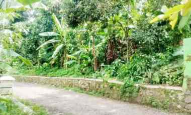 jual tanah 3 270 m2 di karoncong pandeglang banten