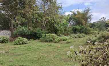 Tanah Dijual di Jl. Asih Devi, Kutuh, Kec. Kuta Selatan, Kab. Badung, Bali