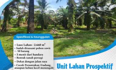 jual tanah cocok peruntukan gudang ataupun kebun sawit