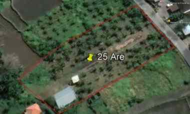 Jual Tanah dekat Pantai Keramas Giayar Bali