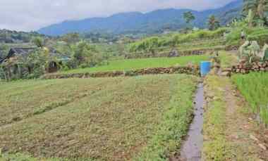 Jual Tanah di Gunung Bunder Pamijahan Bogor