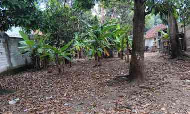 jual tanah di karawang shm