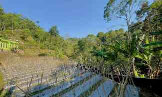 jual tanah di pedesaan udara cukup dingin