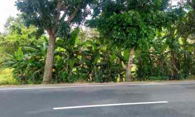 Tanah Dijual di Negara Jembrana