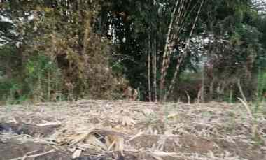 Tanah Dijual di Sidorahayu, Kec Wagir Malang
