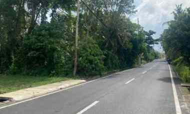 Jual Tanah di Singekerta Ubud Gianyar Bali