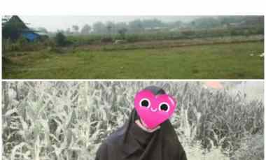 jual tanah kavling sawah