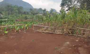 Jual Tanah Kebun Nempel Jalan Kabupaten