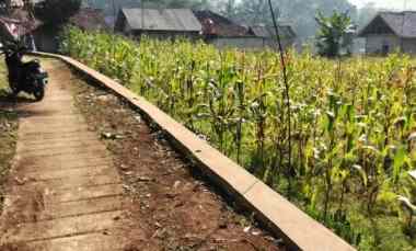 Jual Tanah Kebun,sawah