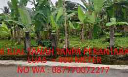 Jual Tanah Komplek BTN. Ciampea Asri