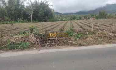 Jual Tanah Kosong di Daerah Tanjung Barus - Berastagi