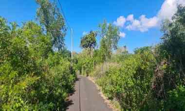 Jual Tanah Kosong Shm di Jalan Gayangsari Badung Bali