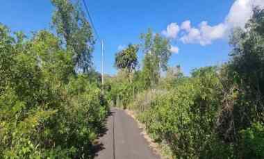 Tanah Dijual di Jl. Gayang Sari, Kutuh, Kec. Kuta Selatan, Kab. Badung, Bali