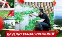 Jual Tanah Murah di Bandung