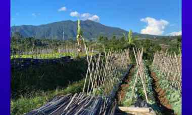 Kavling Tanah Murah di Bandung
