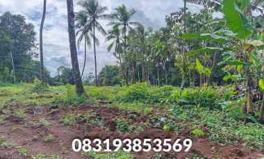 Tanah Dijual di Kp. Tajurendong RT 32 RW 09 3. Kabupaten Pandeglang Banten