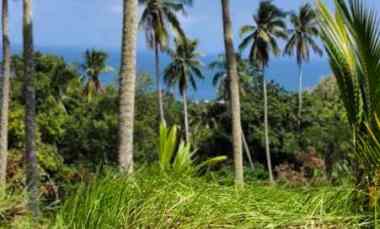 Jual Tanah Murah View Laut di Kawasan Pantai Balian