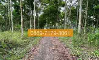 Jual Tanah Panjalu Ciamis Jawa Barat 8F05A5