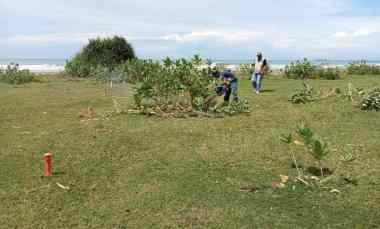 Jual Tanah Pinggir Pantai Banten