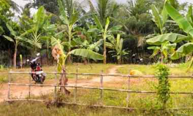 jual tanah sangat strategis