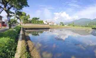 jual tanah sawah murah produktif dan strategis cianjur