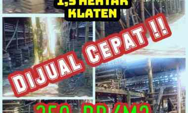 Kandang Ayam Petelur 1,5Ha DiKlaten 350rb/m2