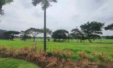 kavling grand embassy pakuwon indah long golf view