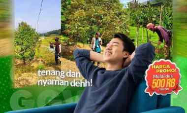 Kavling Wisata Plus Kebun Durian