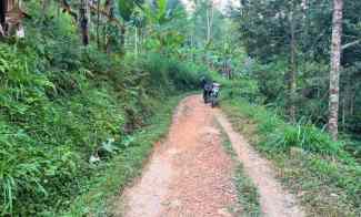 kebun durian 1300m2 kemuning ngargoyoso karanganyar