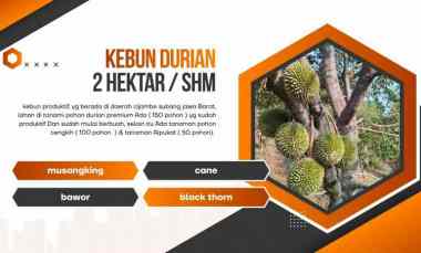 Tanah Dijual di Subang