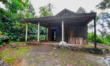 Kebun Durian 1652m Bonus Rumah Sederhana