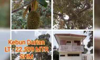 Kebun Durian, Daerah Jalan Cagak Subang Jawa Barat