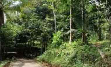 Tanah Dijual di Manikyang, Tabanan, Bali