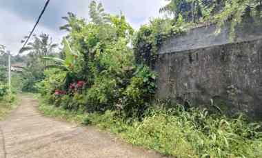 kebun durian dan manggis di pupuan tabanan bali