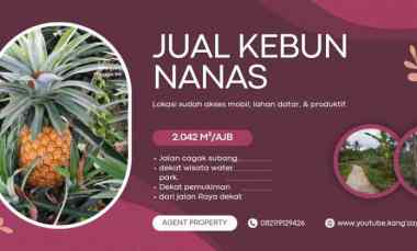 Tanah Dijual di Subang
