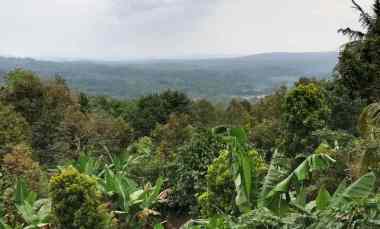 Tanah Dijual di Subang