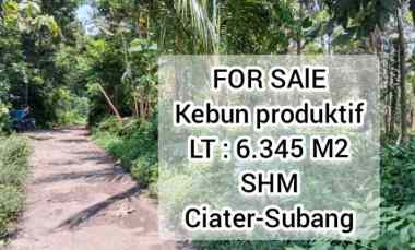 kebun produktif daerah ciater subang jawa barat