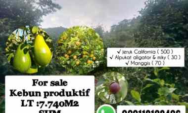 Kebun Produktif, Serang Panjang Subang Jawa Barat