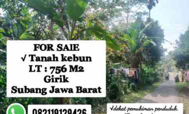 Kebun Produktif Subang Jawa Barat