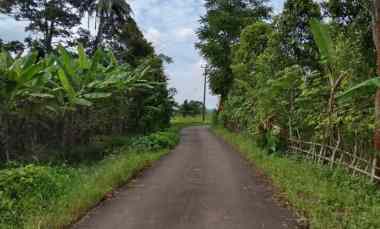 Tanah Dijual di Subang