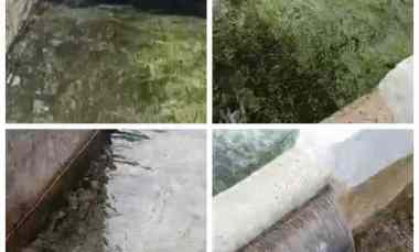 Lahan 1.2Ha Ada Sumber Air DiKlaten 500rb/m2