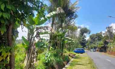 Lahan 20 Hektare SHM-potensi Wisata Perkebunan