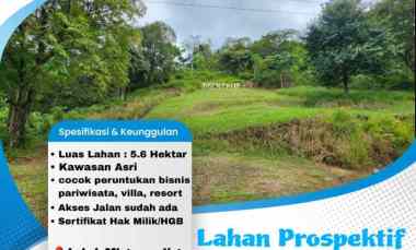 lahan cocok peruntukan bisnis pariwisata villa resort