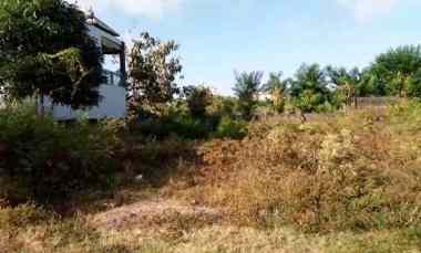 Tanah Disewakan di Goagong