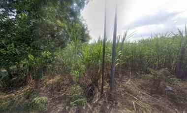 lahan industri siap bangun termurah di mojokerto